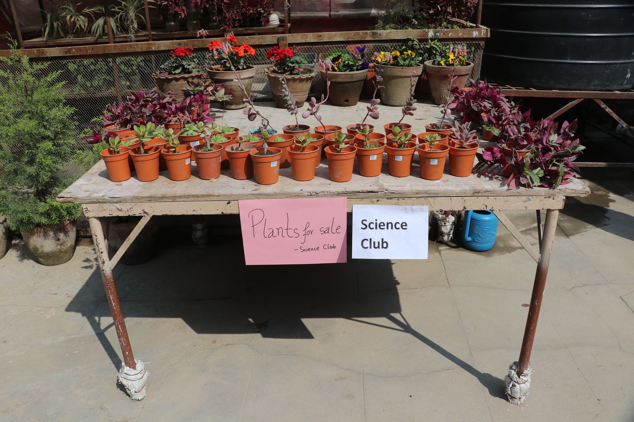 School Garden Project